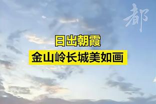 韦伯已汗流浃背❓裁判公司道歉加载中⏳厄德高禁区“运球”漏判